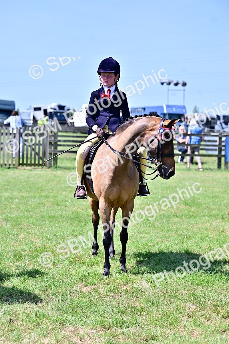 SBM_13895 - Class 95-97 - BSPS LHS Performance Ponies