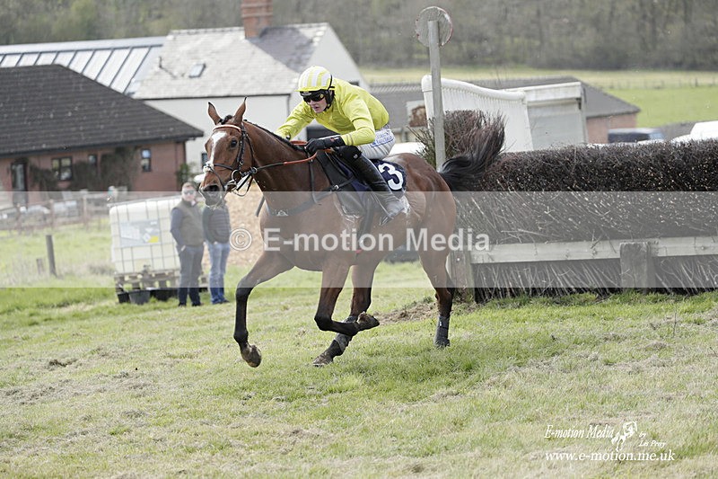 PtP 080423 281 - Dingley Races The Woodland Pytchley Hunt PtP 08/04/23
