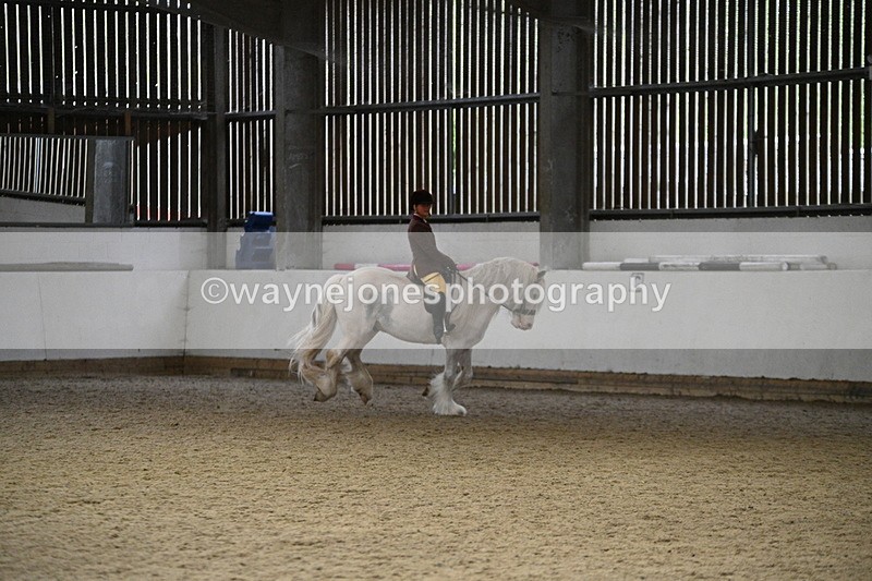 WJ7_3747 - Class 16 Ridden Coloured/ Odd Coloured