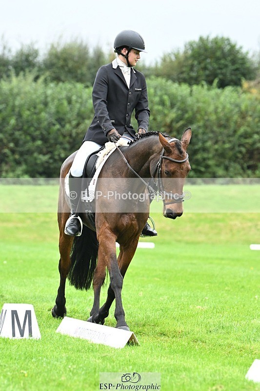 241024-111242-03164 - 504-Harry.Robinson-WHAT.A.WONDER