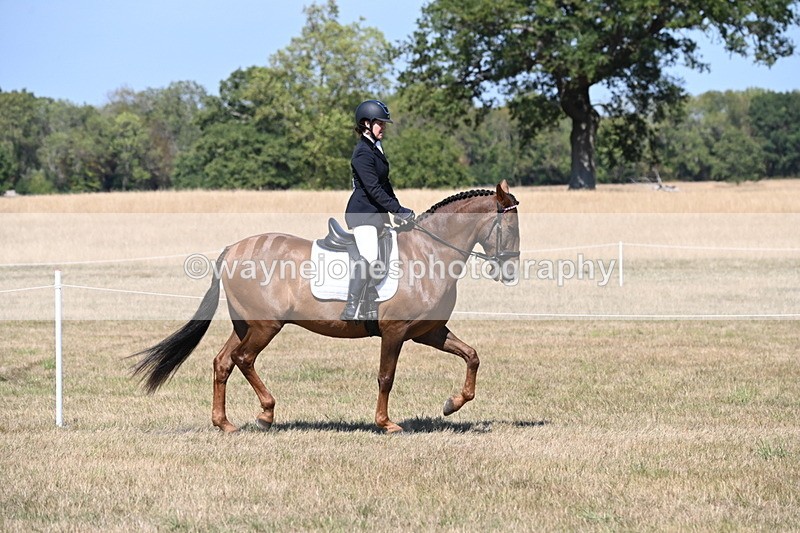 WJ6_8772 - Class 38 Ridden Riding Horse/Pony