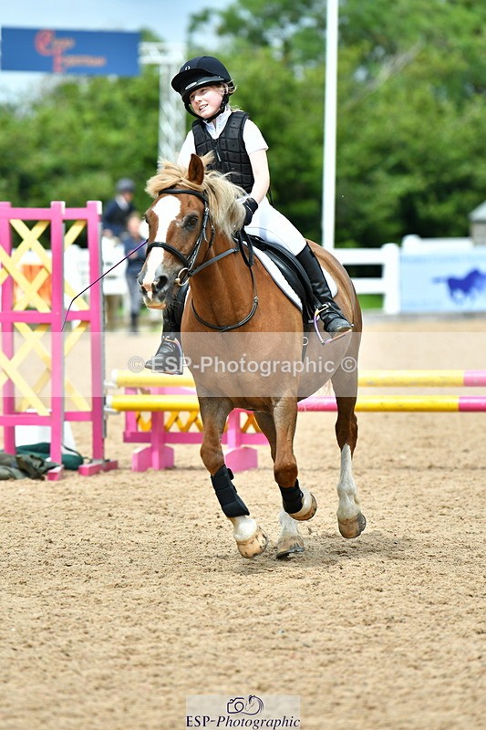 230804A-122855-02525 - Showjumping Competition