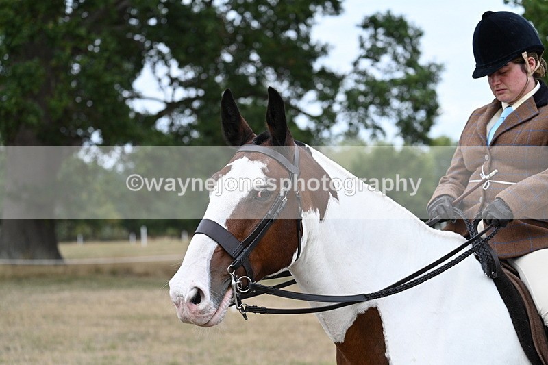 WJ7_5207 - Class 12 Ridden Cob