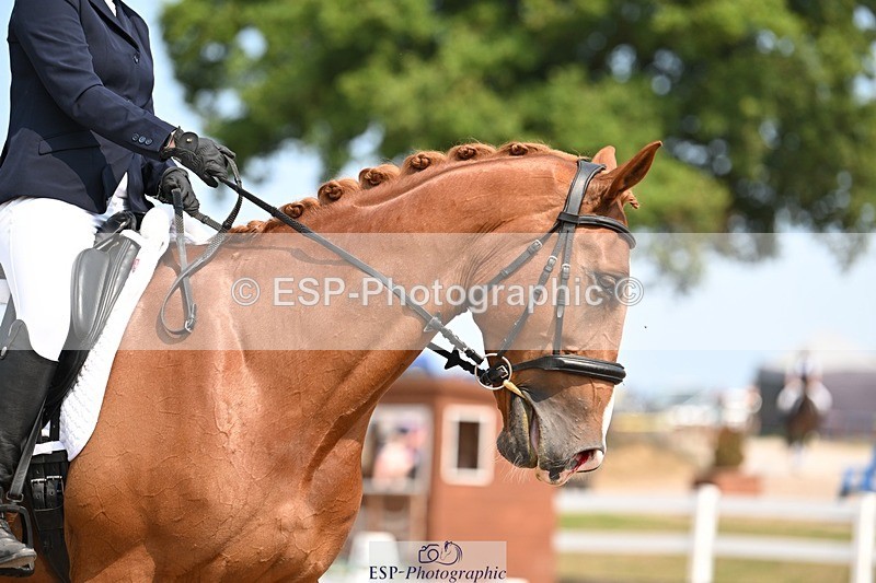 250816-134411-04914 - 080-Elizabeth.StoneZiggy