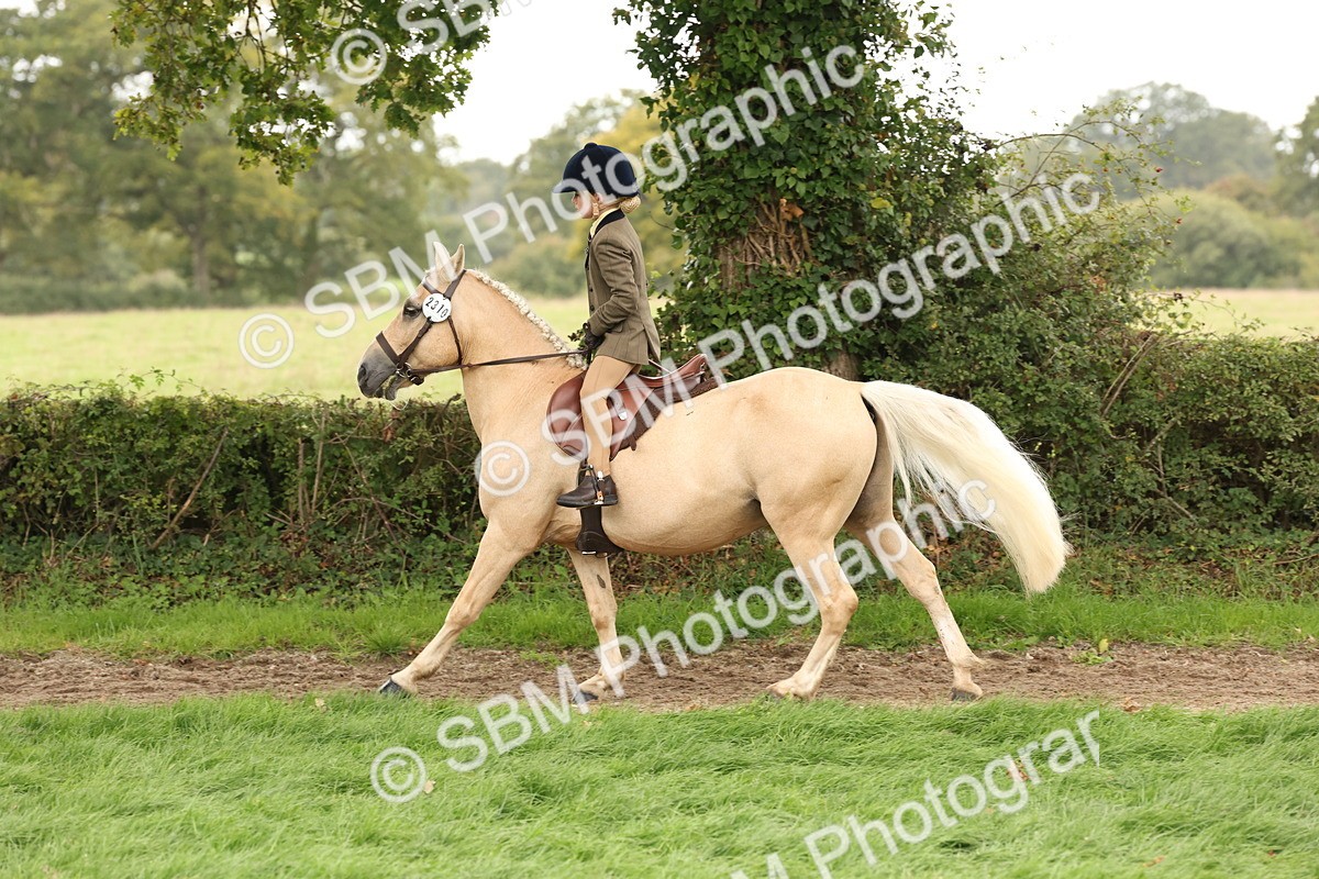 SBM_63019 - S64 - Foreign Breeds Ridden