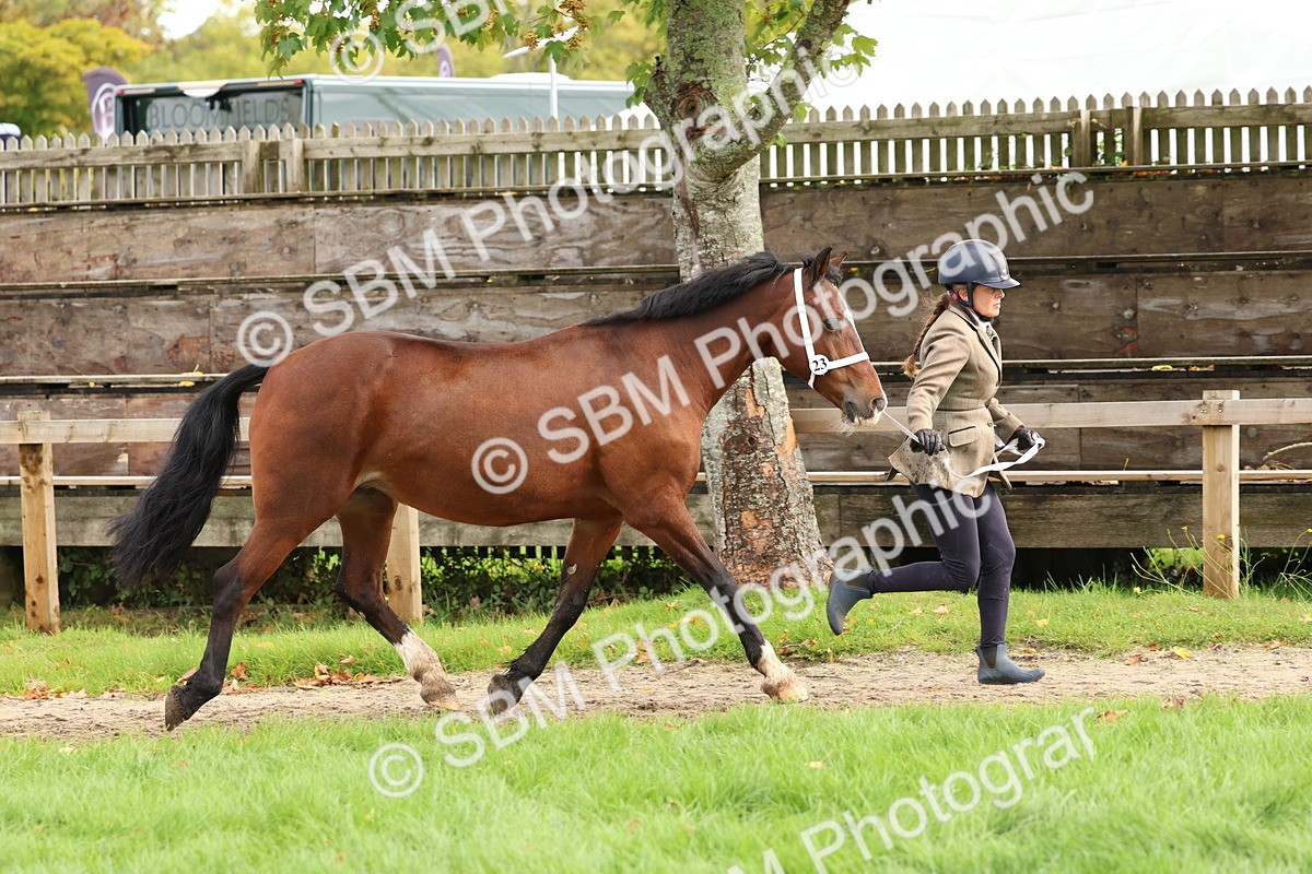 SBM_40751 - S25 -  Veteran In Hand