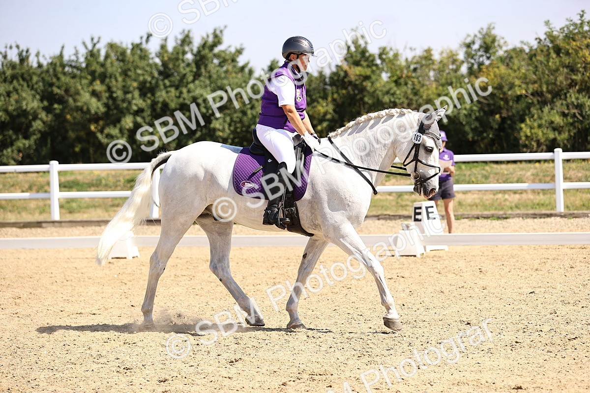 SBM_003563 - Intro 2