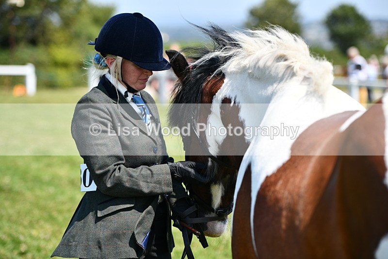 DSC_7648 - Class 64: Coloured Pony 4yrs & over