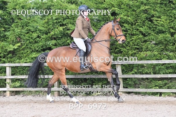 BPP_6972 - RING 1  (RIDDEN HORSES / IN HAND / VETERAN ETC)