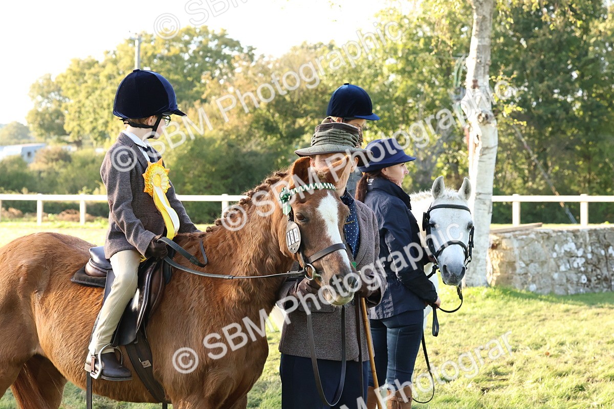 SBM_53102 - S29 - Mature Veteran Ridden