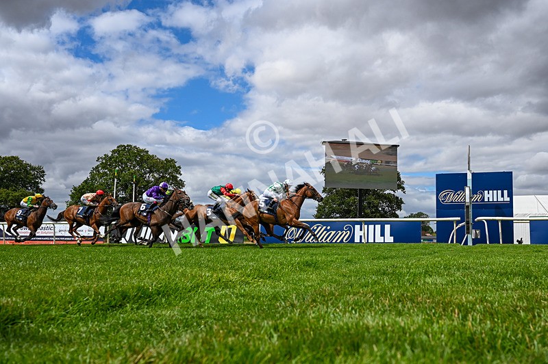 010826-Race 2-Witch Hunter-4868 - Race 2 14.08pm William Hill Summer Cup Handicap