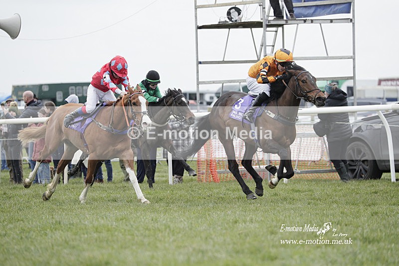 PtP 050323 162 - Blackmore & Sparkford Vale Hunt PtP - Somerset 05/03/23