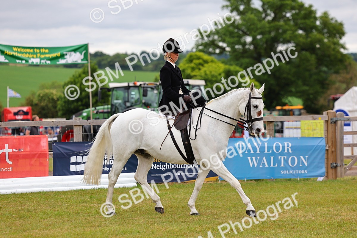 SBM_02884 - Class 9-11 Side Saddle including LIHS Rising Star Ladies Show Horse