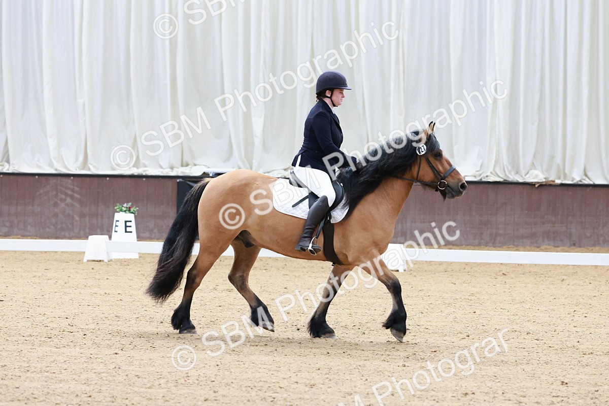 SBM_003195 - Intro 2