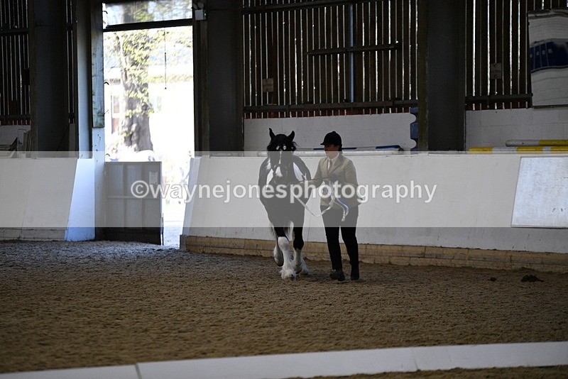 WJ5_3745 - Class 5 In Hand Veterans