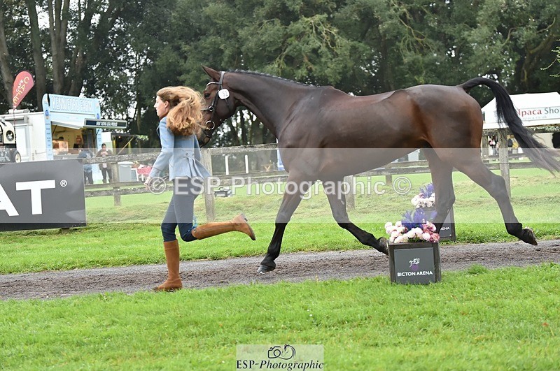 231018-124046-00448 - 052-SHANNONDALE.COURAGE-Georgina.Beeby.Wynn-TrotUp