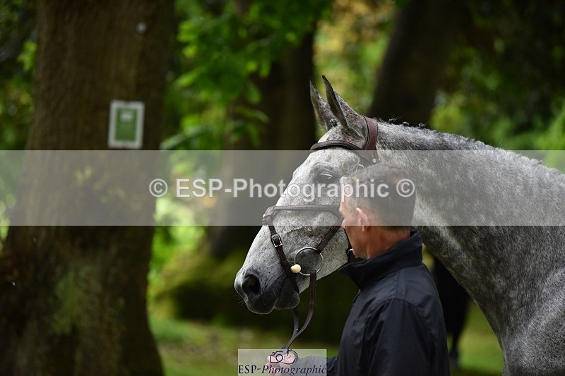 240522-152442-00321 - 354-COOLEY_STIRLING-Andrew_James