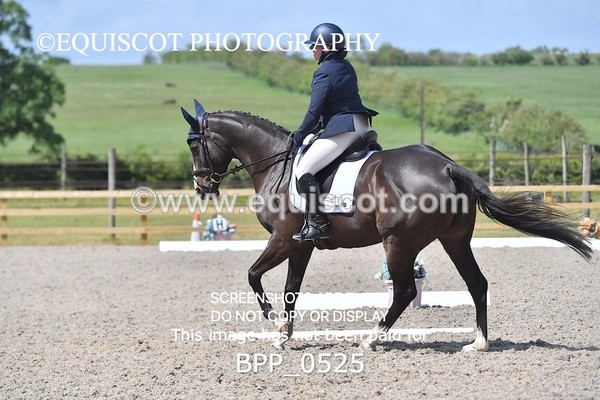 BPP_0525 - MFS NOVICE