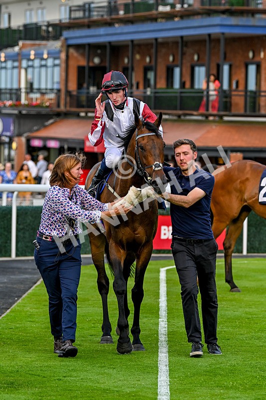 170625-Race 4-Nibras Gold-6809 - Race 4