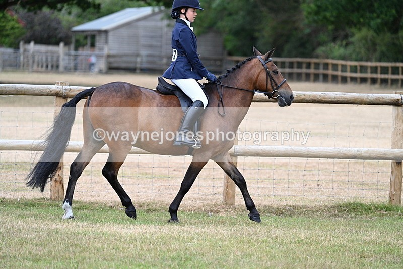 WJ7_0186 - Class 2 Best rider