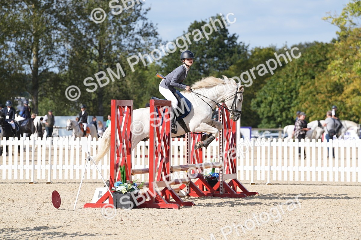 SBM_48655 - J22 - Junior Horse 65cm Championship