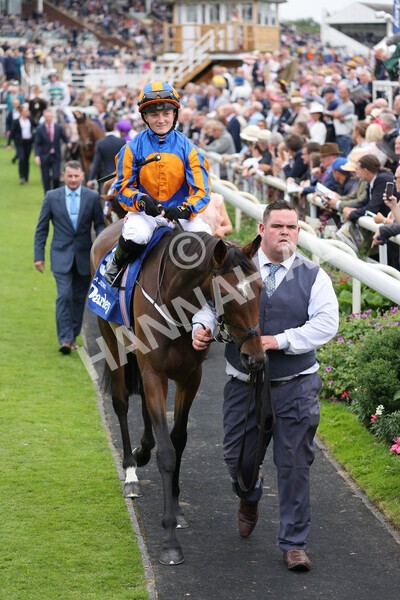 yr19082021r4-15 - Race 4 3.35pm Darley Yorkshire Oaks (British Champions Series race)
