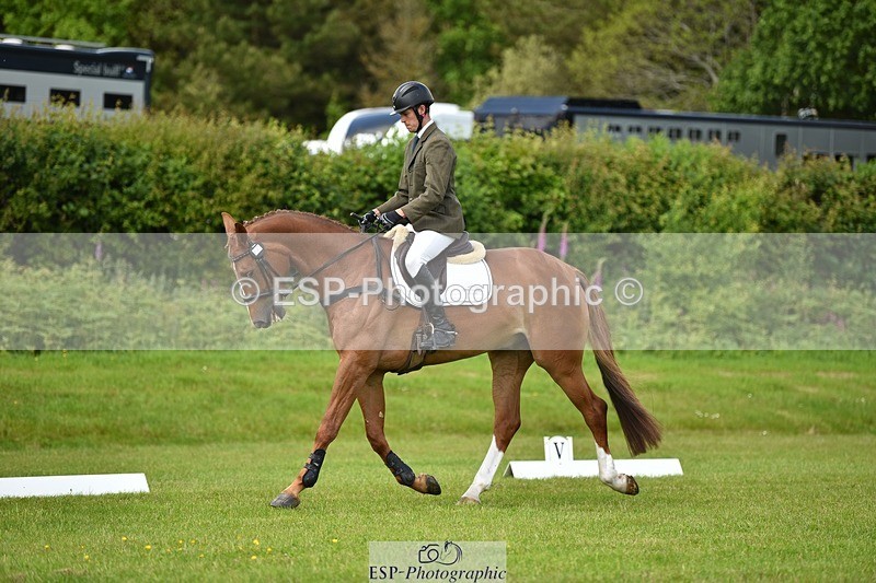 240523B-132328-02397 - 5 Year Old