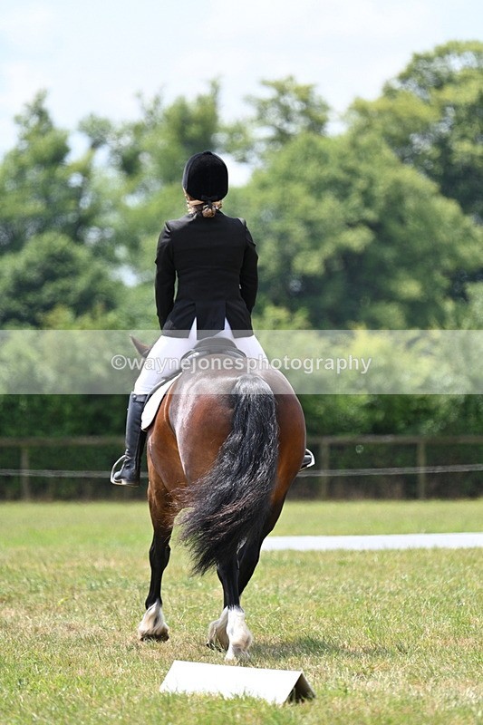 WJ7_5592 - Time 11:52 to 12:10