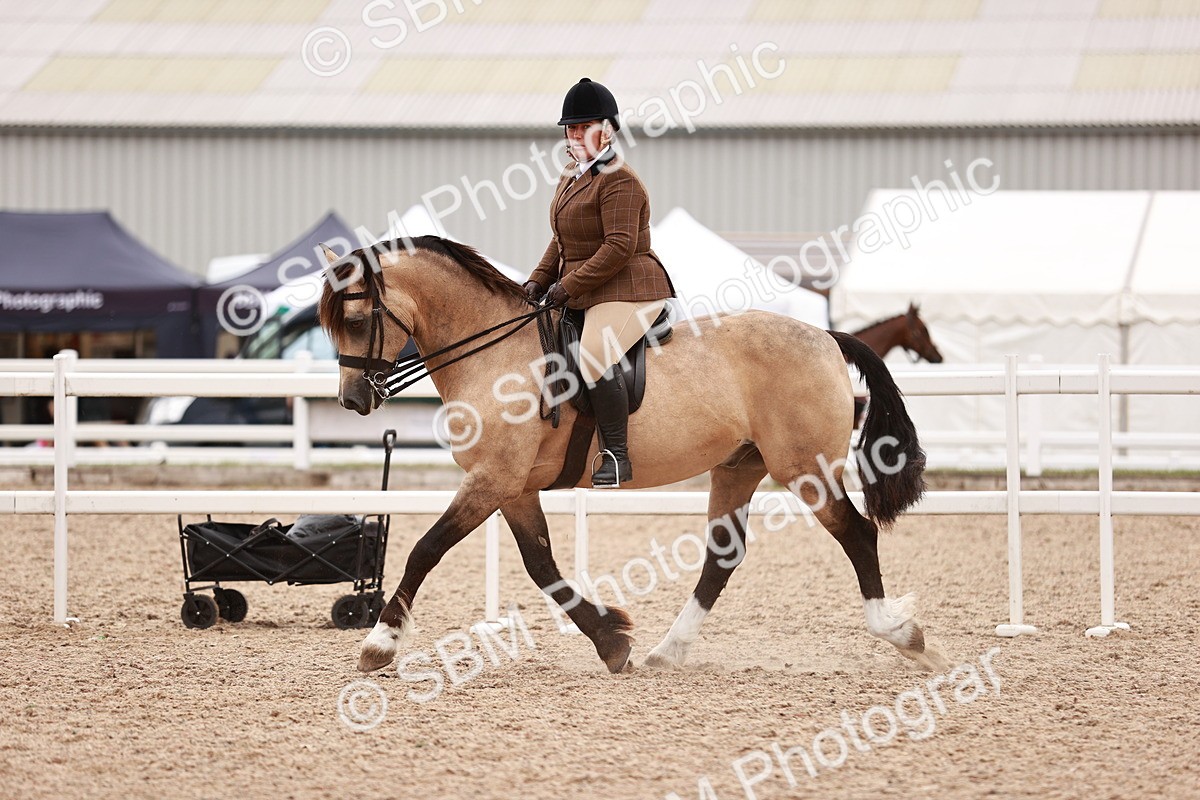 SBM_18998 - Class 422 - Ridden M&M