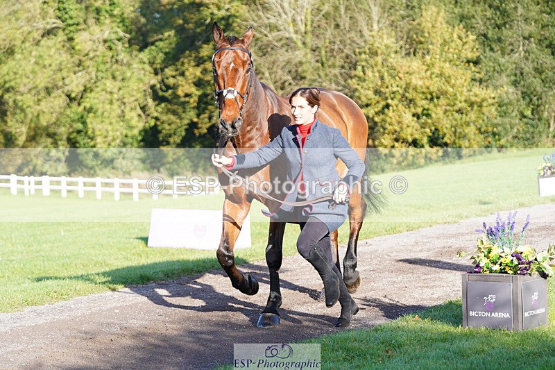 241026-101334-11697 - 053-Lois.Teal-Z7.CATASTROPHE