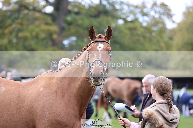 251026A-113817-25581 - G-513-Mimi.van.Ufford