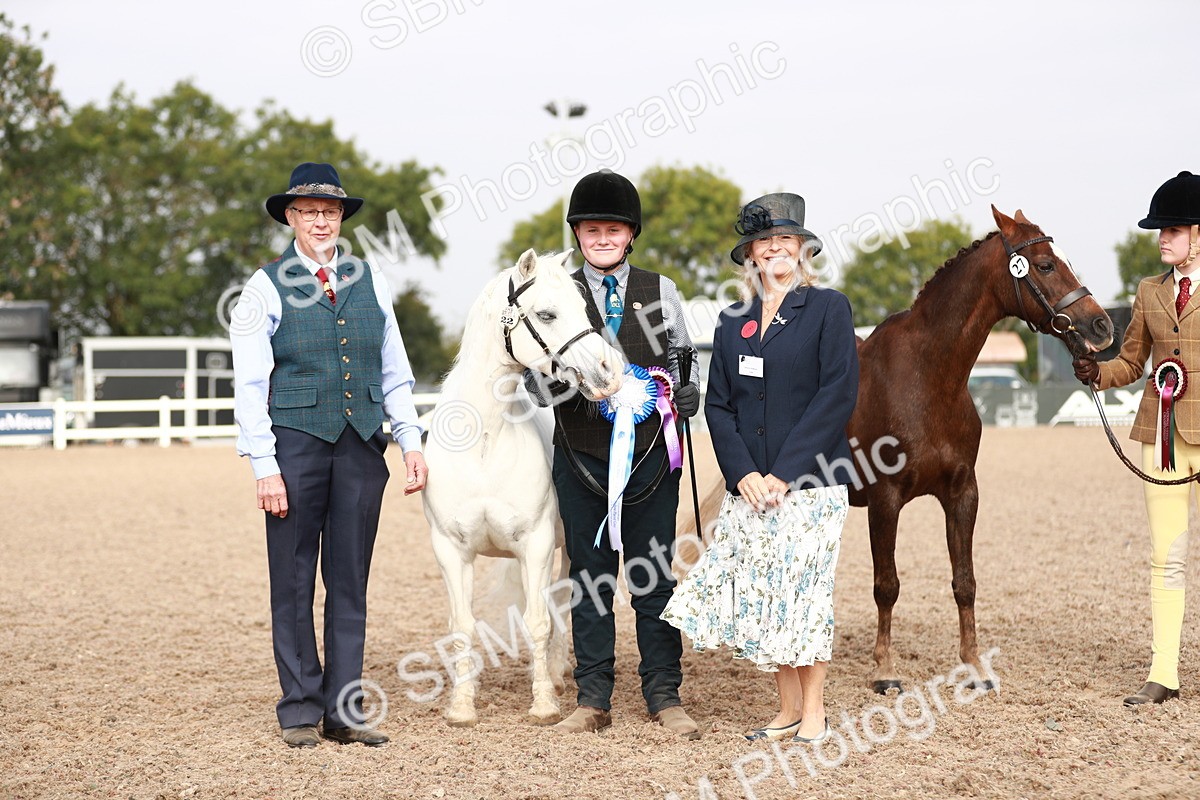 SBM_10627 - Class 204 Young Handler, 11-16 years