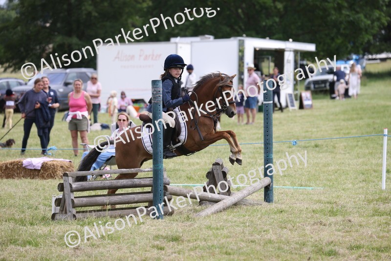 20260614-4118 - Class 24 - Mini and Major Pairs Jumping