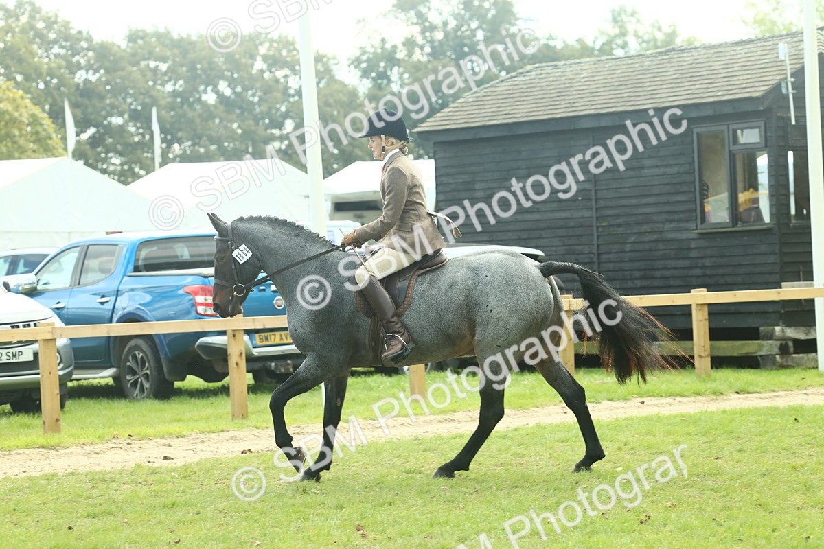 SBM_62618 - S63 - Other Coloured Horse Ridden