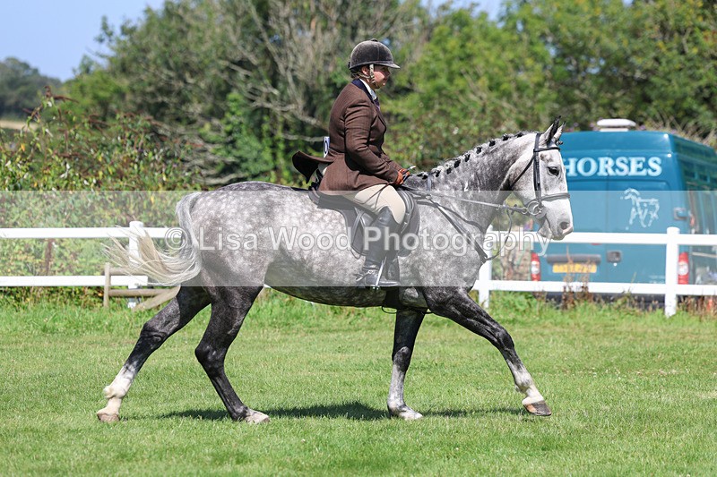 3E7A8950 - Class 6: Open Working Horse