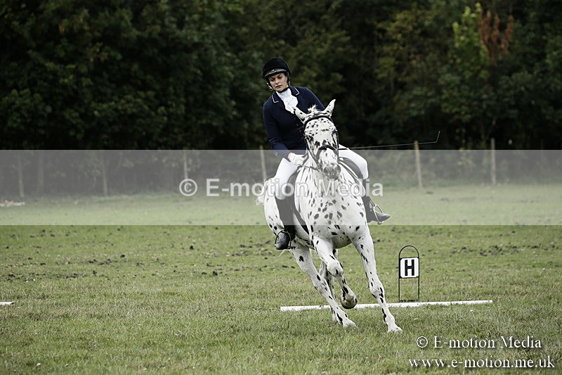 BVR080918 285 - BVRC Novice Dressage & CR 08/09/18