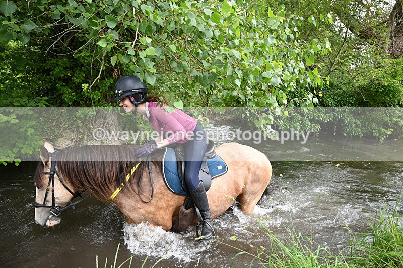WJ7_2042 - Camera 2 Water Crossing