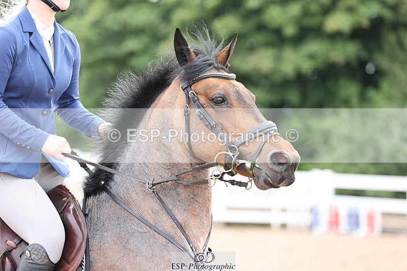 240630A-164315-15317 - Cls 33 Foxhunter and 1.10m Open