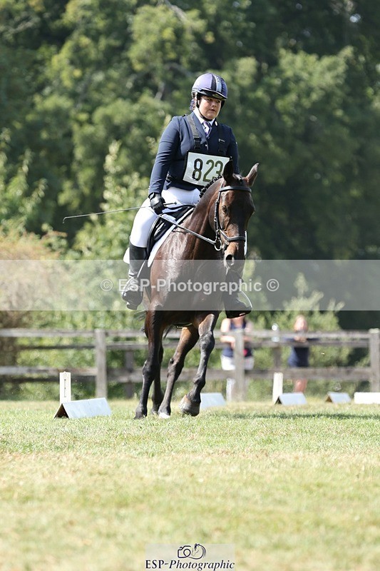 250823A-131430-31263 - Arena D