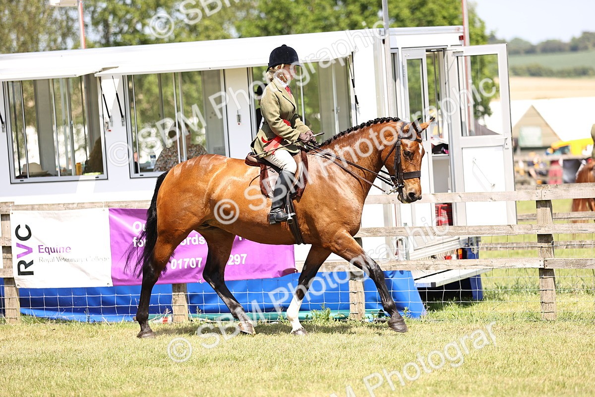 SBM_16215 - Class 79-80 - LIHS BSHA Rising Star Ridden Hunter