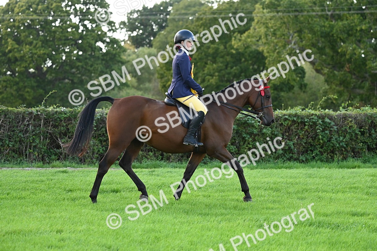 SBM_26523 - S6 - Novice & newcomer Ridden horse