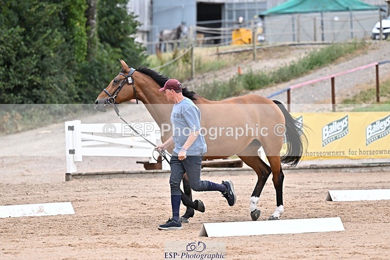 250716-133941-00613 - Trot Up 1.30 to 2.30