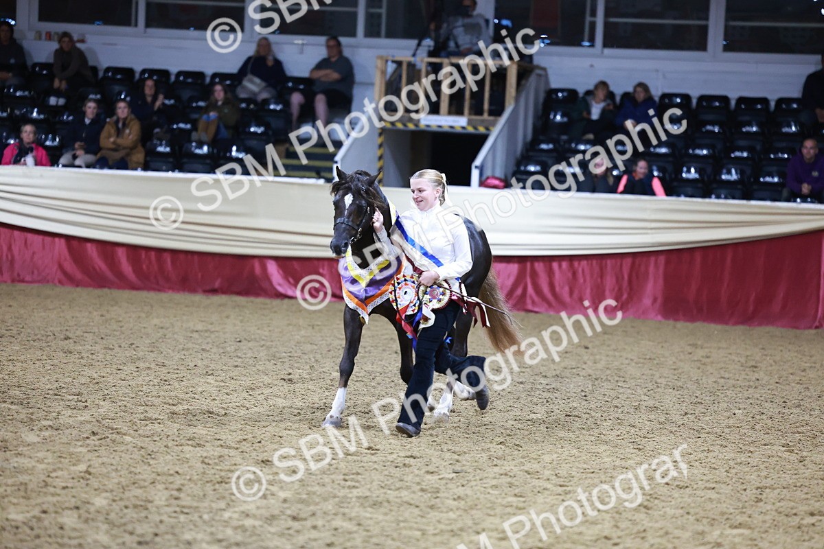 SBM_21094 - Class P - M&M Champs