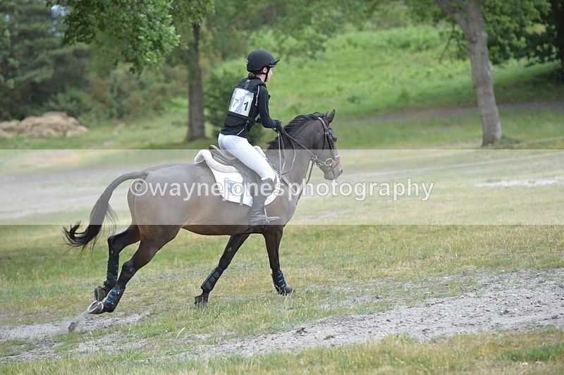 NGP_9256 - Time 12:54 to 1309