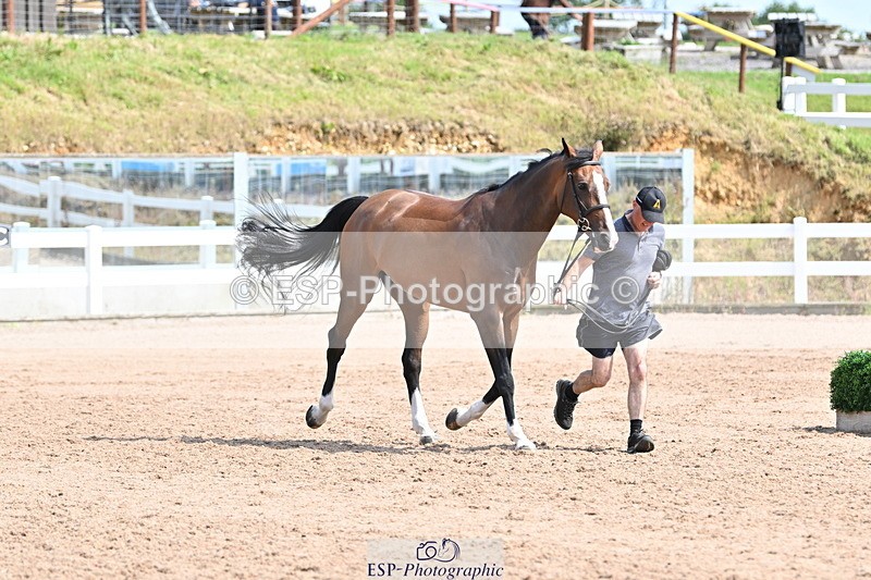 240717A-153426-02888 - Trot Up 3pm to 4pm