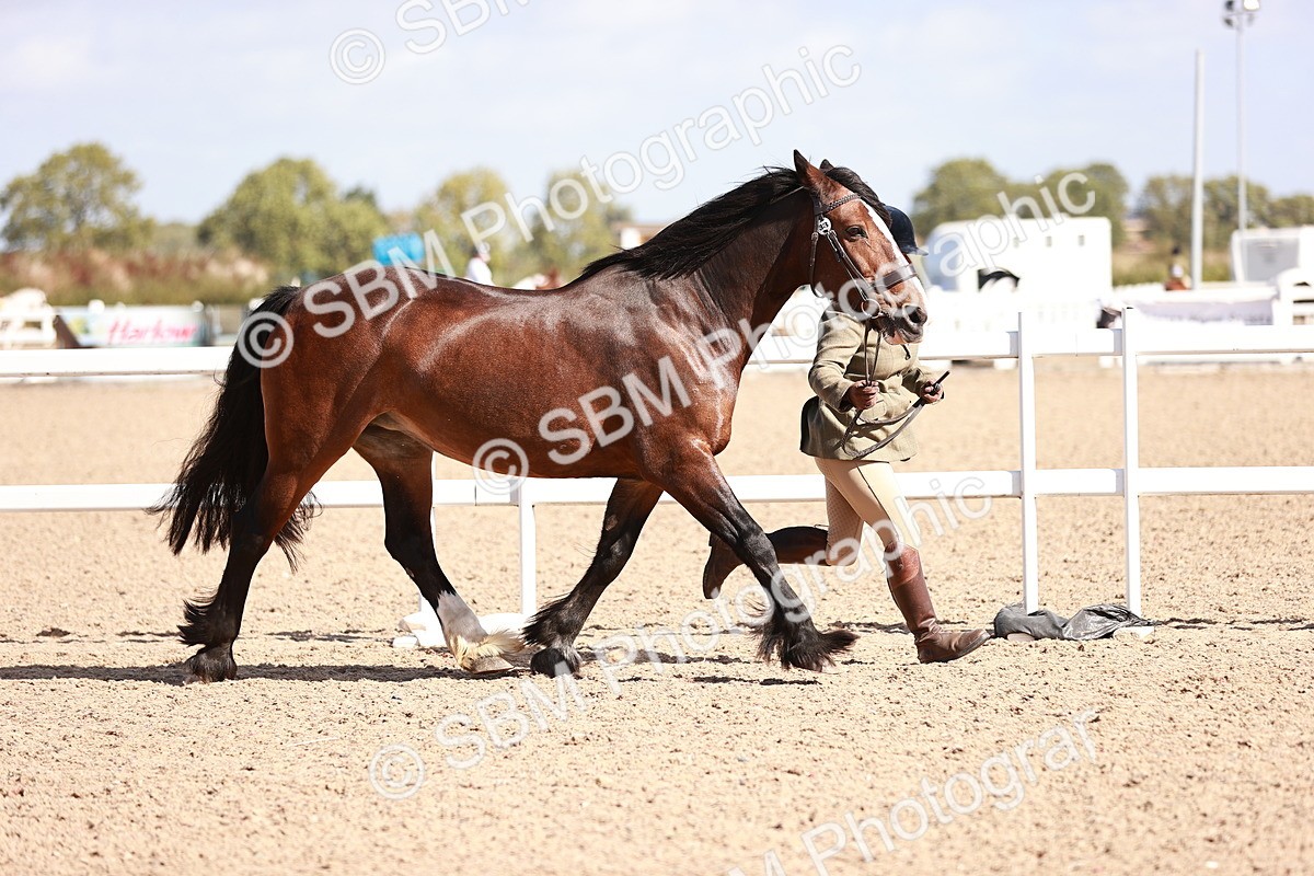 SBM_22891 - Class 706 - IH Veteran