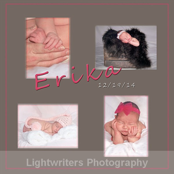  - Erica