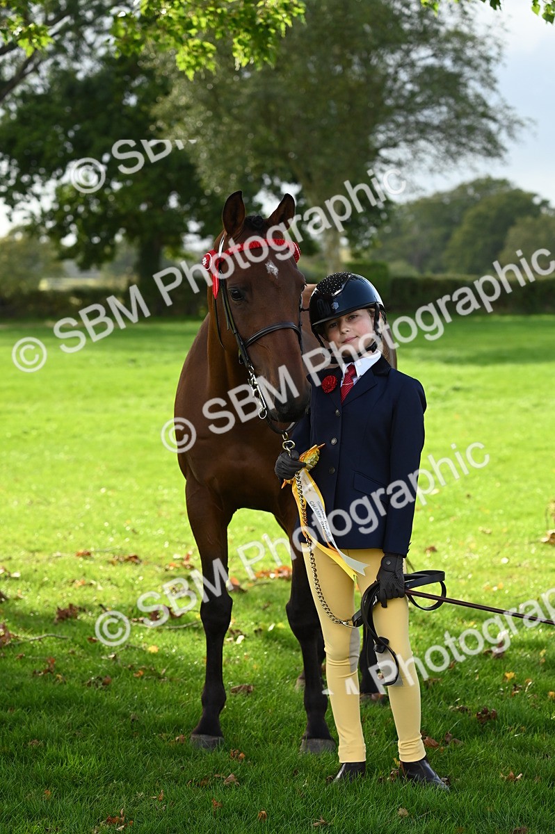 SBM_25065 - S5 - Novice & Newcomer In hand