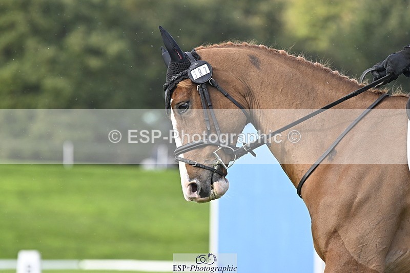 251023A-151440-04556 - E-387-Vittoria.Panizzon