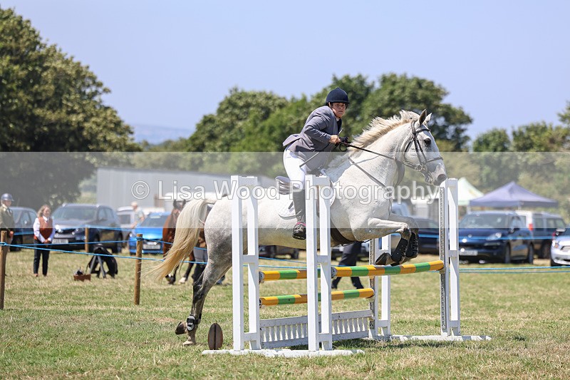 3E7A4380 - Class 10: Senior British Novice/90cm open